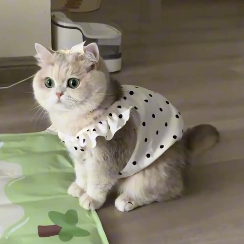 Тонкий дышащий шнурок-держатель, платье для принцессы