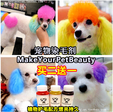 Pooch hair dye Teddy special white color Bears dyed hair cream Beauté Pet Beauty Cosmetic Hair Cream