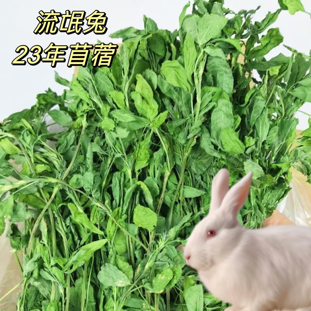 23 years of drying alfalfa grass rabbit hay young rabbit food chinchilla guinea pig hay rabbit forage fresh rabbit grass