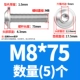 M8*75 (5)
