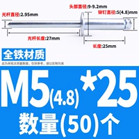 Железный M5*25 (50)