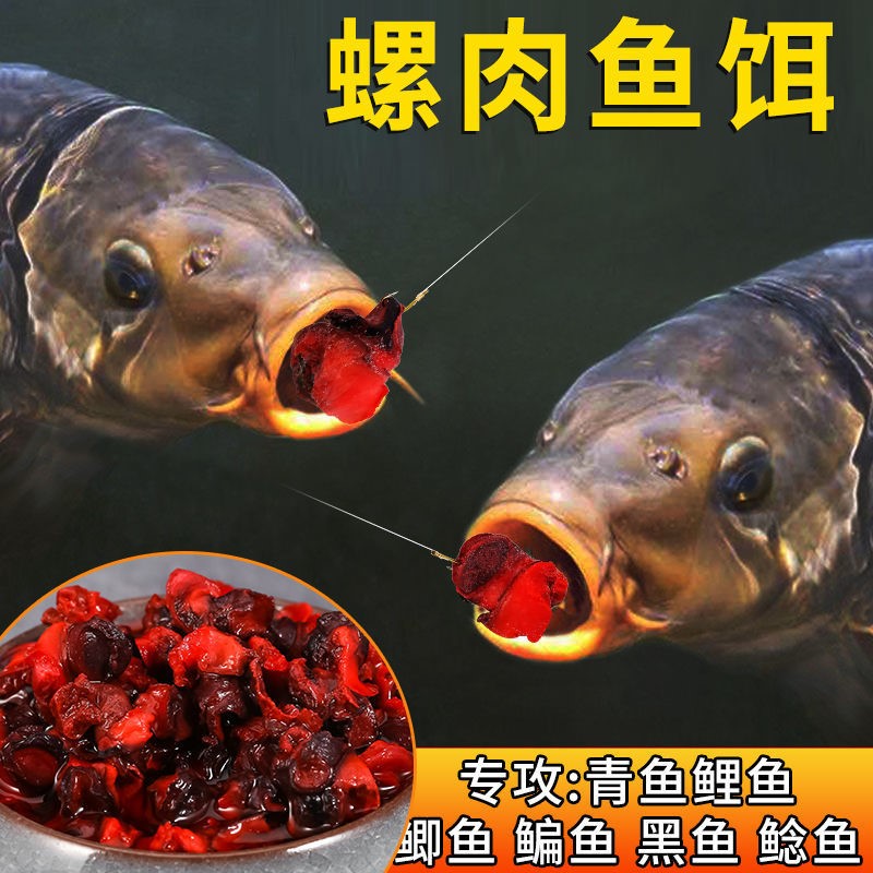 Blood snail meat bait wild carp catfish herring crucian carp black fish bait black pit lake warehouse meat grain fish food