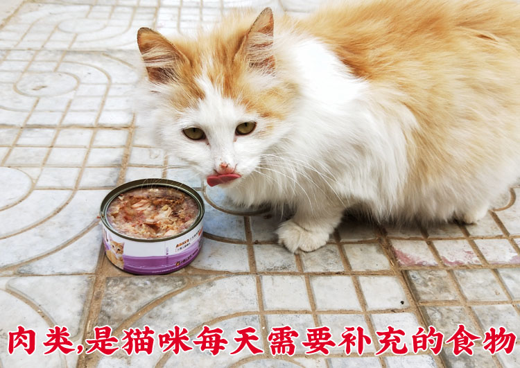 Mèo nhỏ mặt mèo đóng hộp thức ăn ướt cá hồi thịt băm 170g mèo ăn nhẹ có thể trộn với hạt thành mèo con làm thức ăn cho mèo