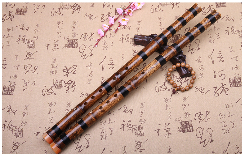 Người mới bắt đầu ngắn 箫 箫 箫 箫 箫 调 调 - Nhạc cụ dân tộc cổ cầm