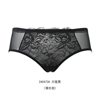 Moonlight Night 240473a