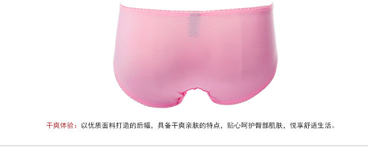 Slip jeunesse FASHION BALLET BWP16074 - Ref 669614 Image 22