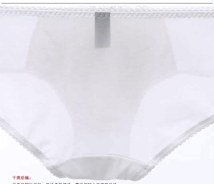 Slip GAINREEL BWP16175 - Ref 665432 Image 23