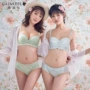 Bộ đồ lót sexy tập hợp của Royle [2 áo ngực + 2 đồ lót] ABW17705 phụ kiện thời trang nữ