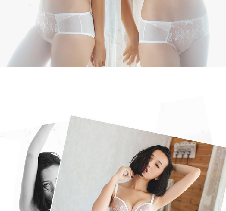 Slip GAINREEL BWP16175 - Ref 665432 Image 16