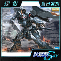 Spot Bandage MG SEED 03 1 100 MSV high-mobility Jie Wu Jinen Gundam Akihabara