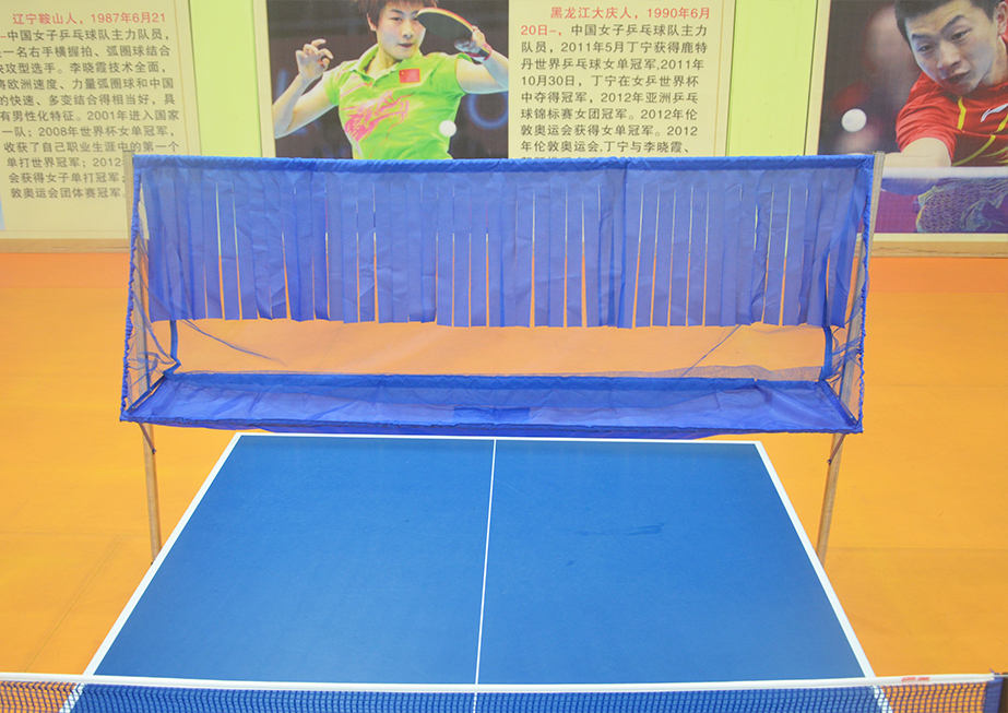 Eisenway table tennis activity ball net training multi-ball recycling net table tennis picker multi-ball basin