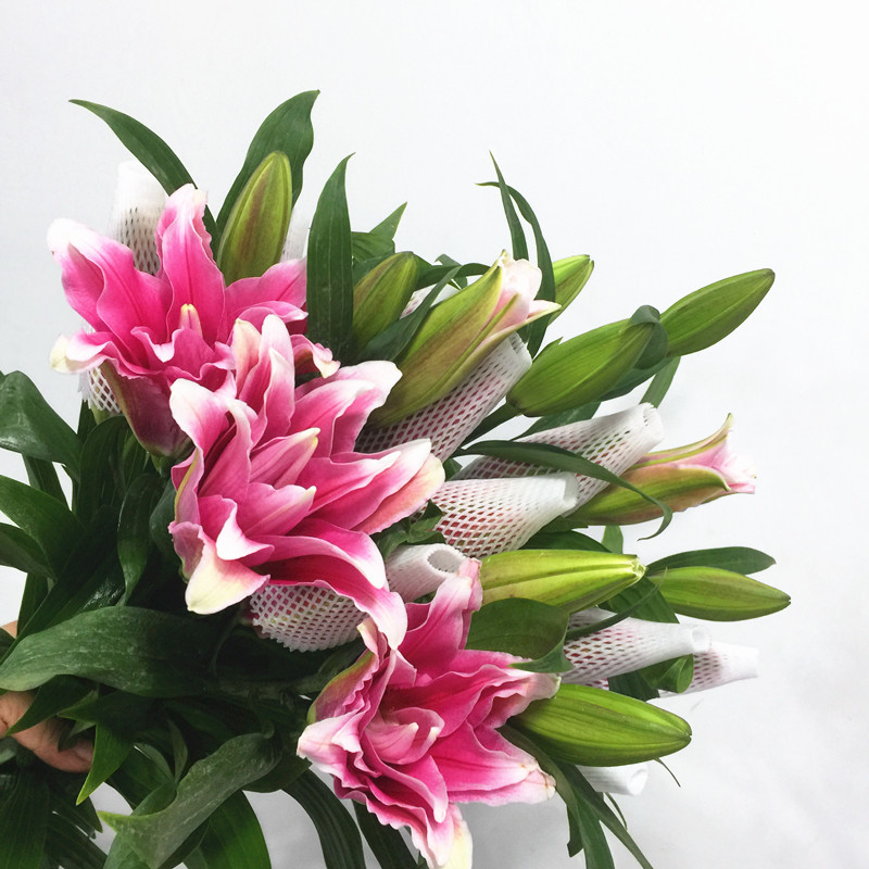 Double-Petaled Lilies, Fresh Cut Flowers, Shanghai Same-City Flower Delivery, Home Vase Arrangements, Jiangzhehuwan Two-Bouquet Free Shipping Double-Petaled Lilies, Fresh Cut Flowers, Shanghai Same-City Flower Delivery, Home Vase Arrangements, Jiangzhehuwan Two-Bouquet Free Shipping