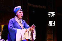 杨剧
