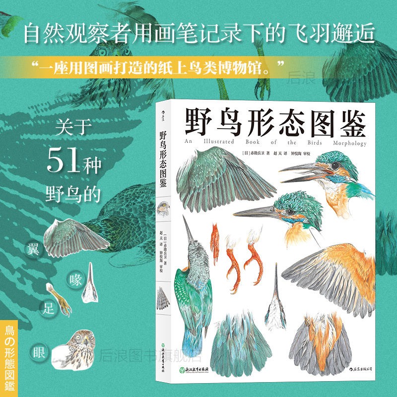 後浪真スポット 野鳥の形態学イラスト 鳥のイラスト 野生動物 自然観察 博物学者 生物学 人気科学書