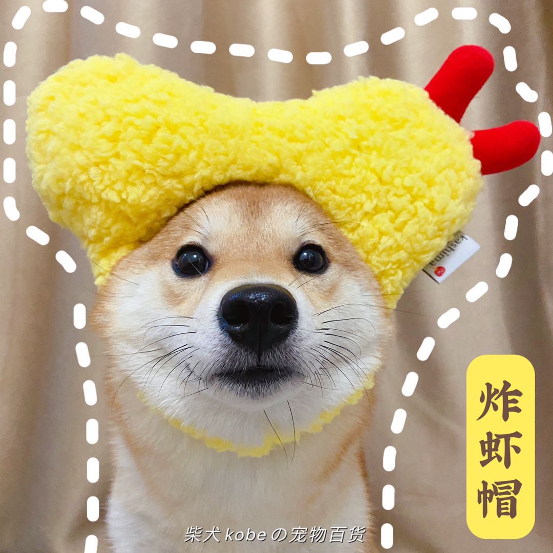 Shiba Inu Tempura Hat Fried Shrimp Headgear Internet celebrity charmy same cat and dog funny cross-dressing cute New Year