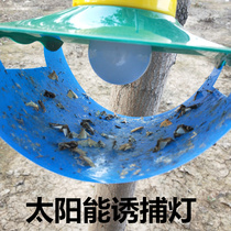 Moth trap Insecticidal lamp Greenhouse moth trap Vegetable garden moth trap Field moth trap Agricultural solar moth killer lamp