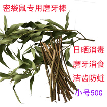 Eucalyptus leaf Honey bag glider Honey bag ferret Eucalyptus molar disinfection deodorant bedding supplies Eucalyptus branch molar stick tooth cleaning