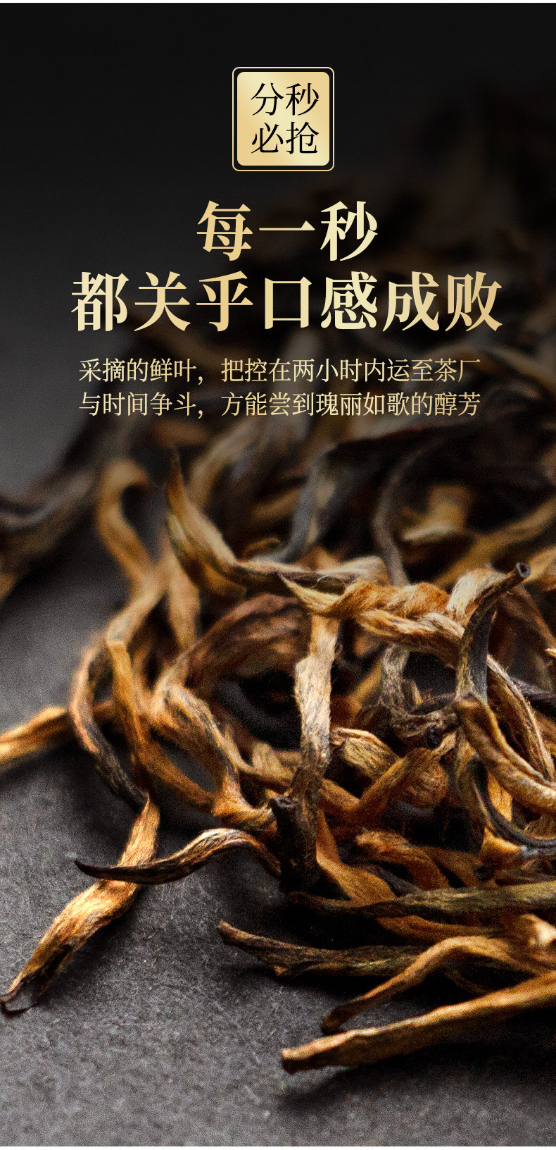 Shaoguang Details_05.jpg