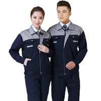 Серый тибетский синий с серыми плечами