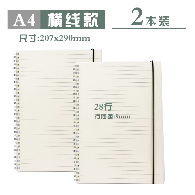 A4 горизонтальная линия (очень большой) 2 книги