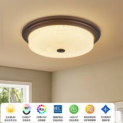 Modern American Mid-Century Style 2024 New Bedroom Study Guest Bedroom Villa Apartment Ceiling Lamp
