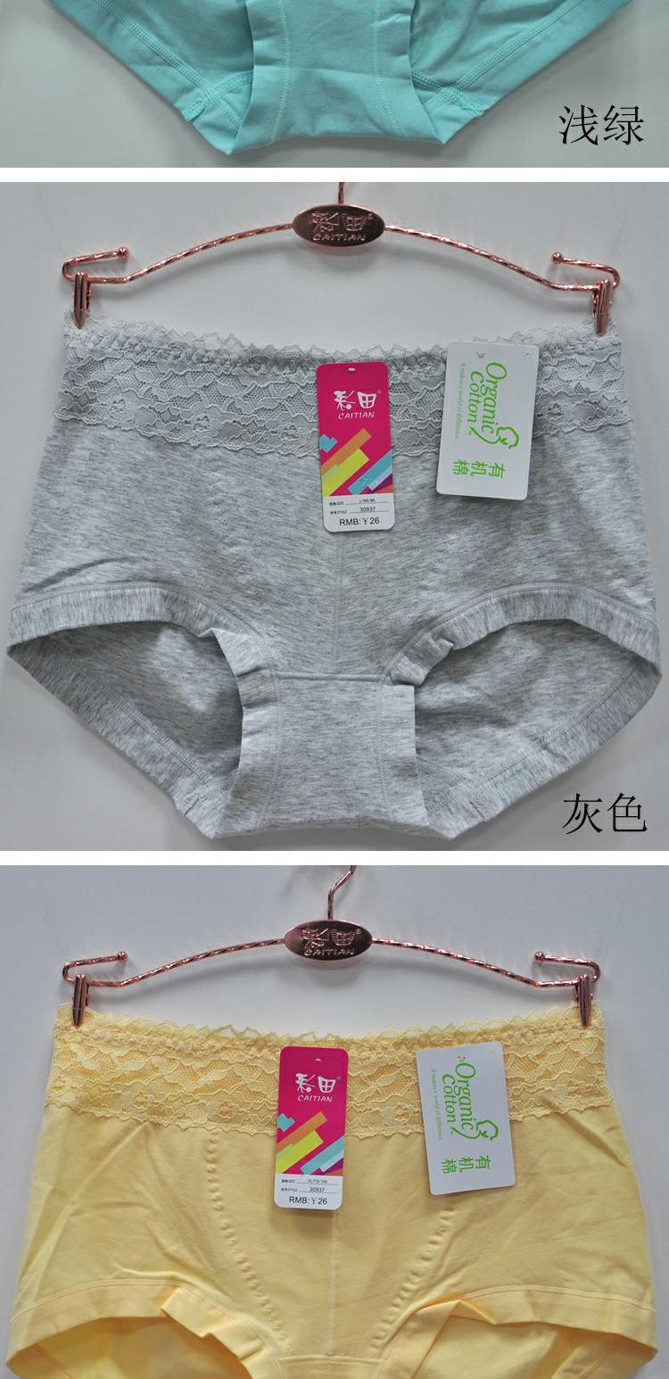 4 túi Caiti eo cao 30937 đơn giản màu hữu cơ cotton hữu cơ hông quần ren áo lót phụ nữ đồ lót các loại quần lót nữ