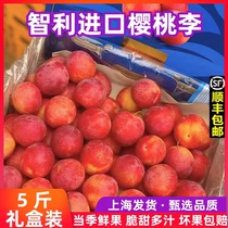 Chilean cherry Li Xinfresh 5 catty box loaded with imported Li Ziplop sweet high-end fruit when season full box