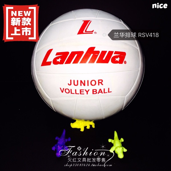 Ballon de volley - Ref 2012133 Image 8