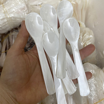 Deep Sea Shell Spoon Dessert Caviar Special Mask Stirring Spoon Conch Products Large Volume Logo