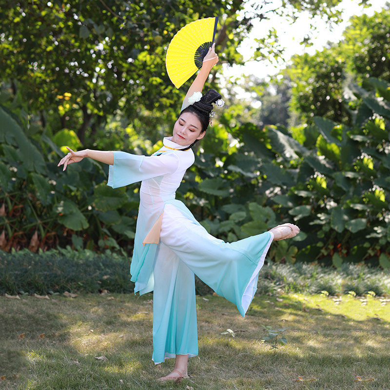 Dance tailor Tao Li Cup Women's group dance drunk Spring Wind dance clothing Chinese style classical national fan dance art examination dress