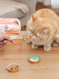 Южная Корея Мисо кот Милли маленький золотой кот кошачий консервированный питание питание чистое мясо 0 зерновой молочный пирог с влажной пищей