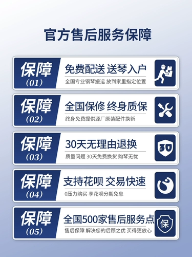 Новая серия Pegasus Triangle Piangle Piano Sport Car Shape High -End Custom Hotel Real Estate High -end Home) использование