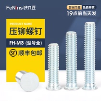Galvanized Riveting Screw Screw FH-M3*4-5-6-7-8-9-10-11-14-15-16-18-20-22-24