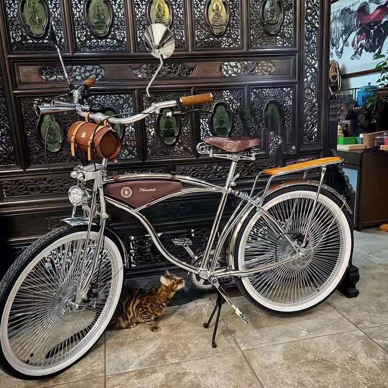 Retro Bicycle, Commuter Off-Road Bike, Dual Disc Brake, Variable Speed Bike, Lightweight Bicycle, Unisex, Imported Vintage Bike