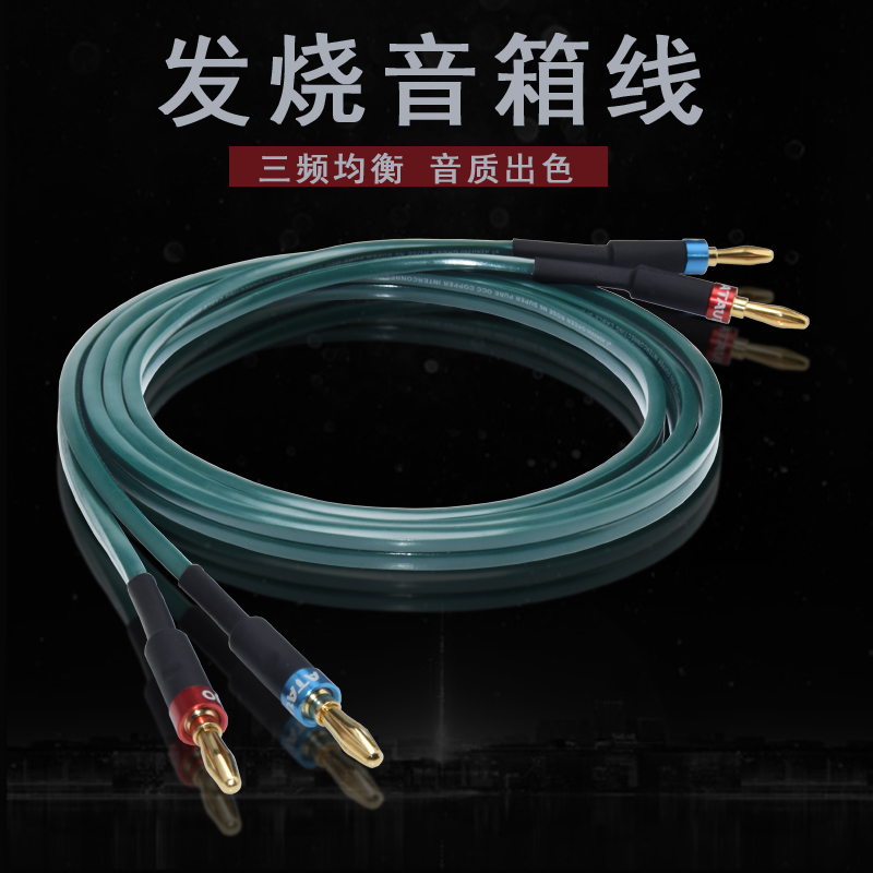 ATAUDIO Audiophile speaker cable Pure copper center surround speaker cable HiFi fidelity amplifier audio cable