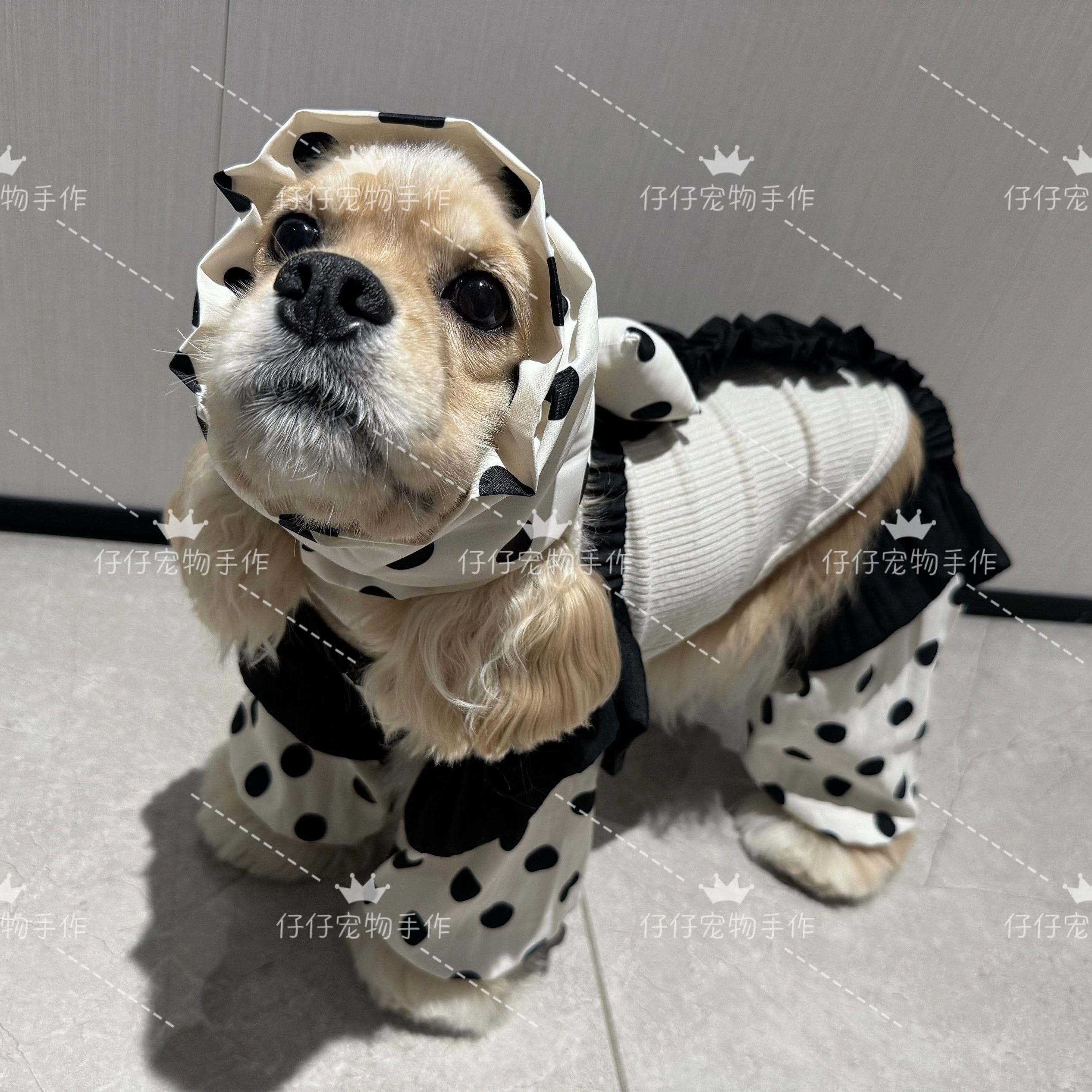 Наушники для собак с длинными ушами, головной убор, нагрудник, Maca, King Charles, Spinger, защита от загрязнения, съедобный, дышащий
