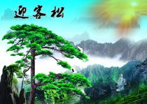 308 information poster board pine plum bamboo decorative painting poster printing display board inkjet photo wall chart 33 welcoming pine