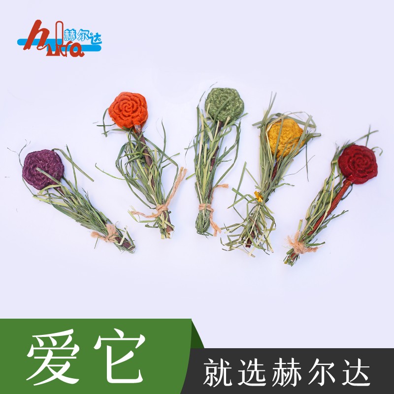 Lollipop teething snacks teething sticks Apple sticks and grass cakes rabbit chinchillas guinea pig teething snacks