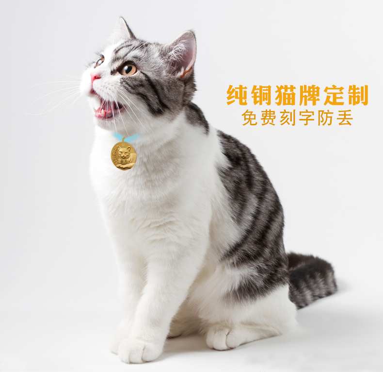 Cat brand Ding blue cat coffee cat