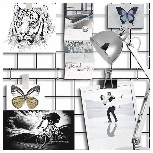 ���ɾŹ�����Ƭǽ¥�ݰ칫�����TOY88-235