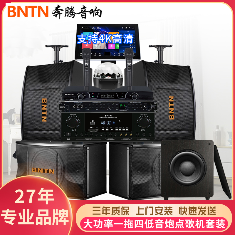 BNTN Wanma Pentium Professional karaoke session sound point song machine KTV suit Home Cinema Speaker 450