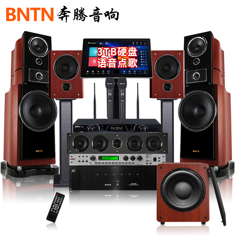 BNTN Wanma Pentium 5 1DTS decoding surround sound home theater home KTV audio 58 with New York flagship