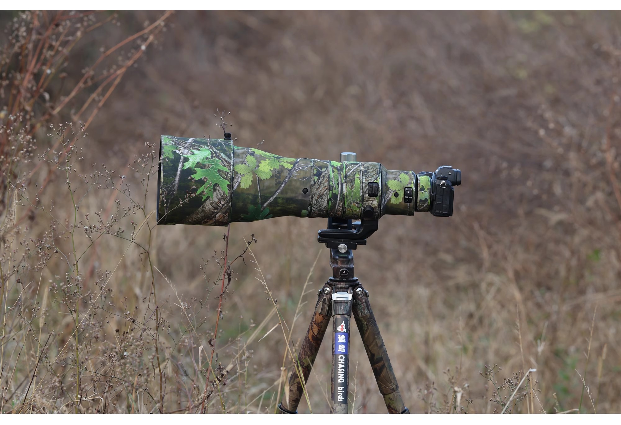 Nikon尼康 Z 600mm F/4 TC VR S - 詳情11