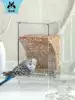 Pet Shangtian Bird food box Spill-proof feeder Parrot drinking water Automatic bird feeder drinking water device Bird cage accessories