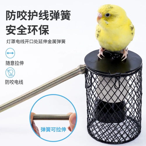 Pet Sinian Parrot Bird Bird Cage Pet Antiscalded Heater Everater Ceramic Birds Products