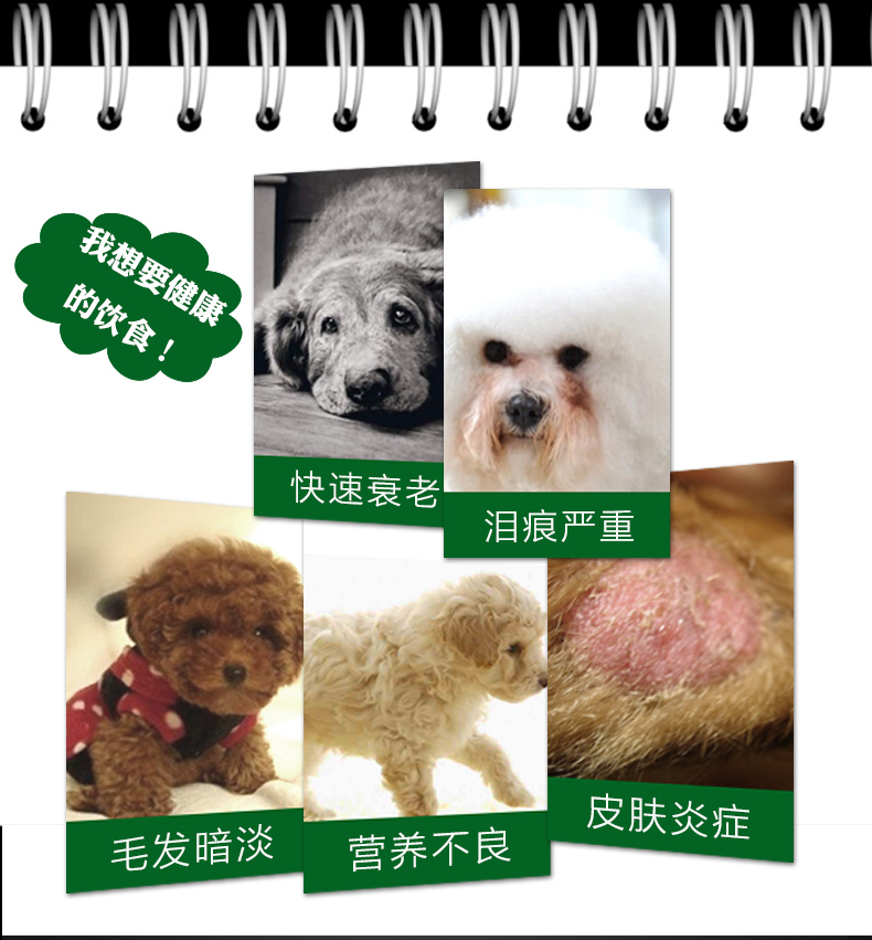 Dog Food 5kg10 {1/2 Kilogram} Teddy Golden Retriever Husky ...