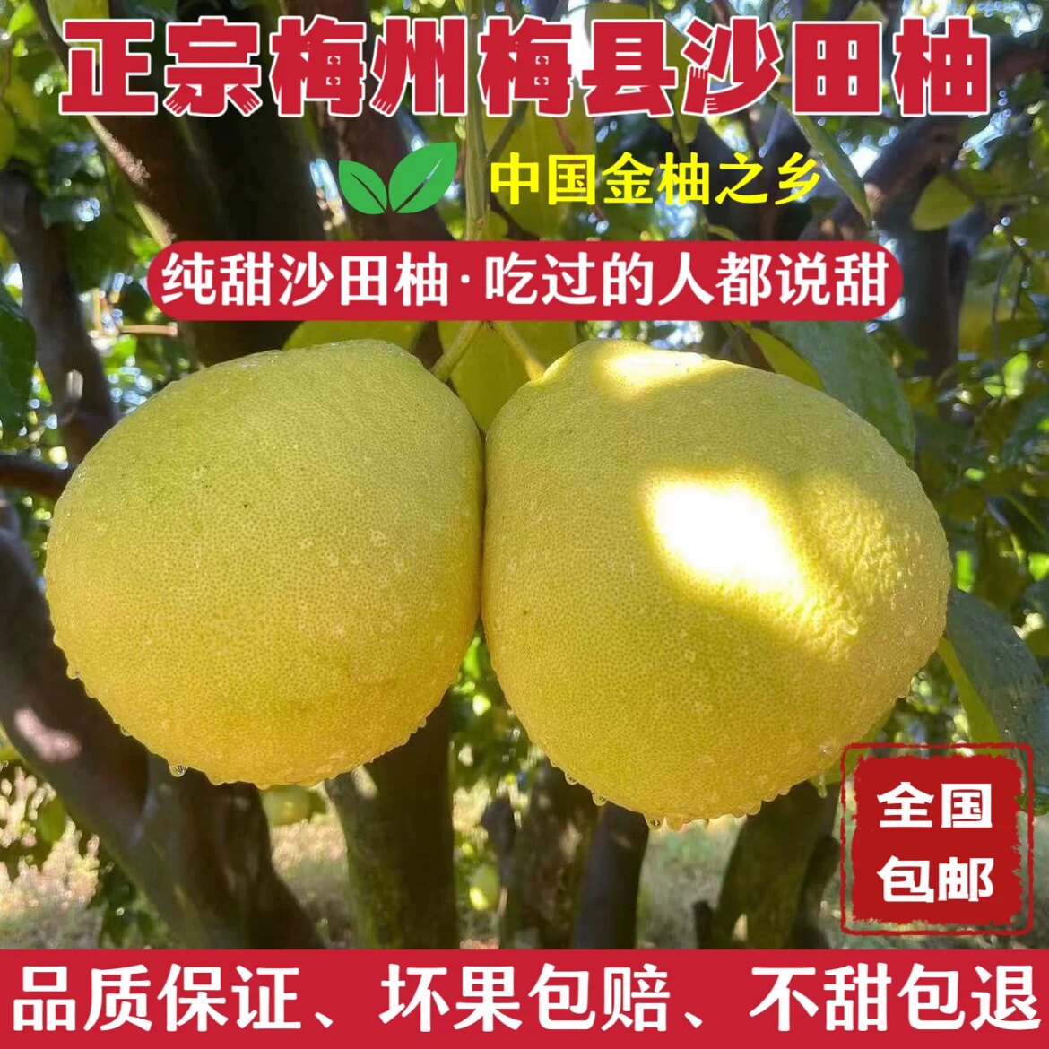 小双自种农家小店