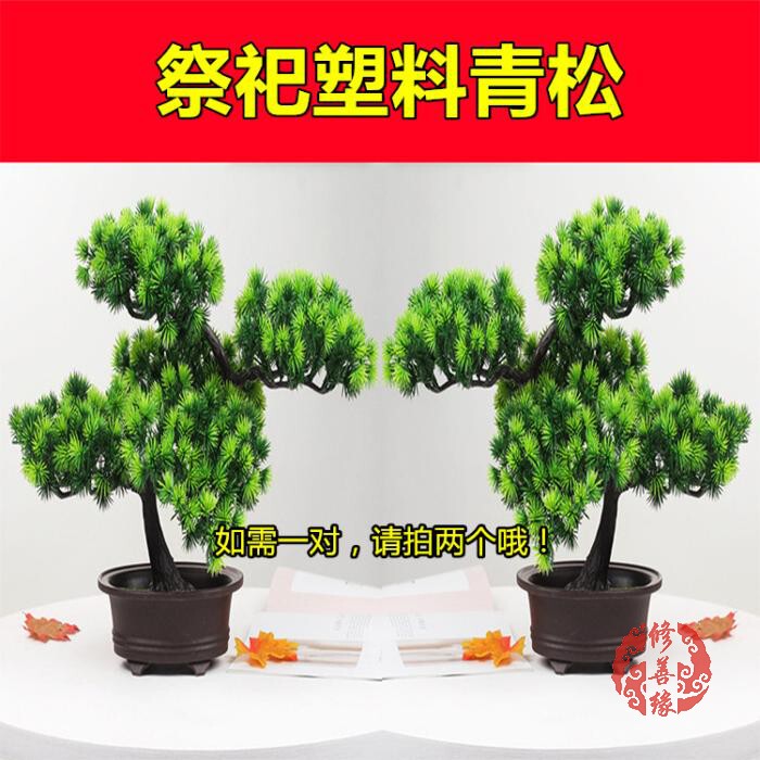 Artificial Plastic Evergreen Pine and Cypress Bonsai for Qingming Festival, Winter Solstice, Tomb-Sweeping, Grave-Visit, Mourning Hall, Tombstone, and Memorial Decorations