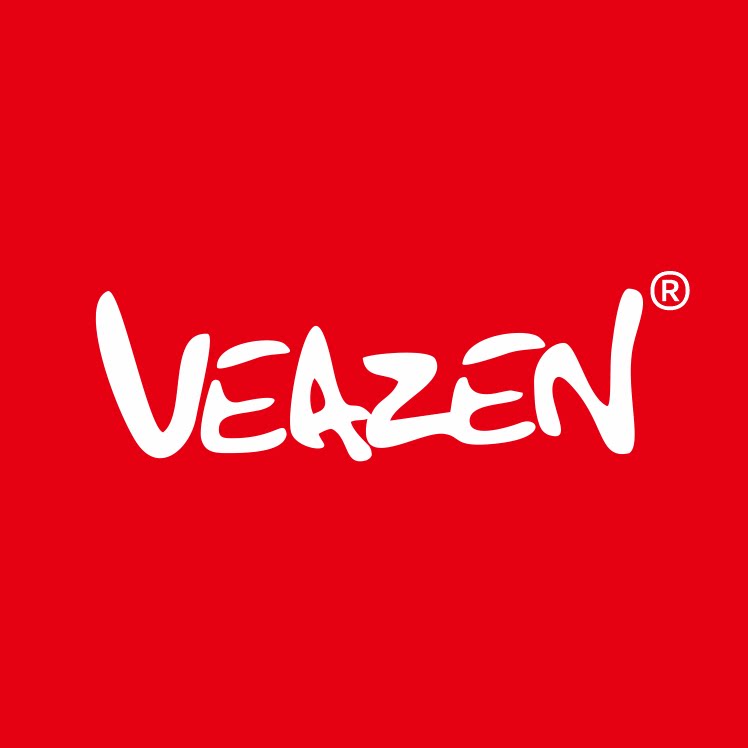 VEAZEN费森乐器直销店的LOGO