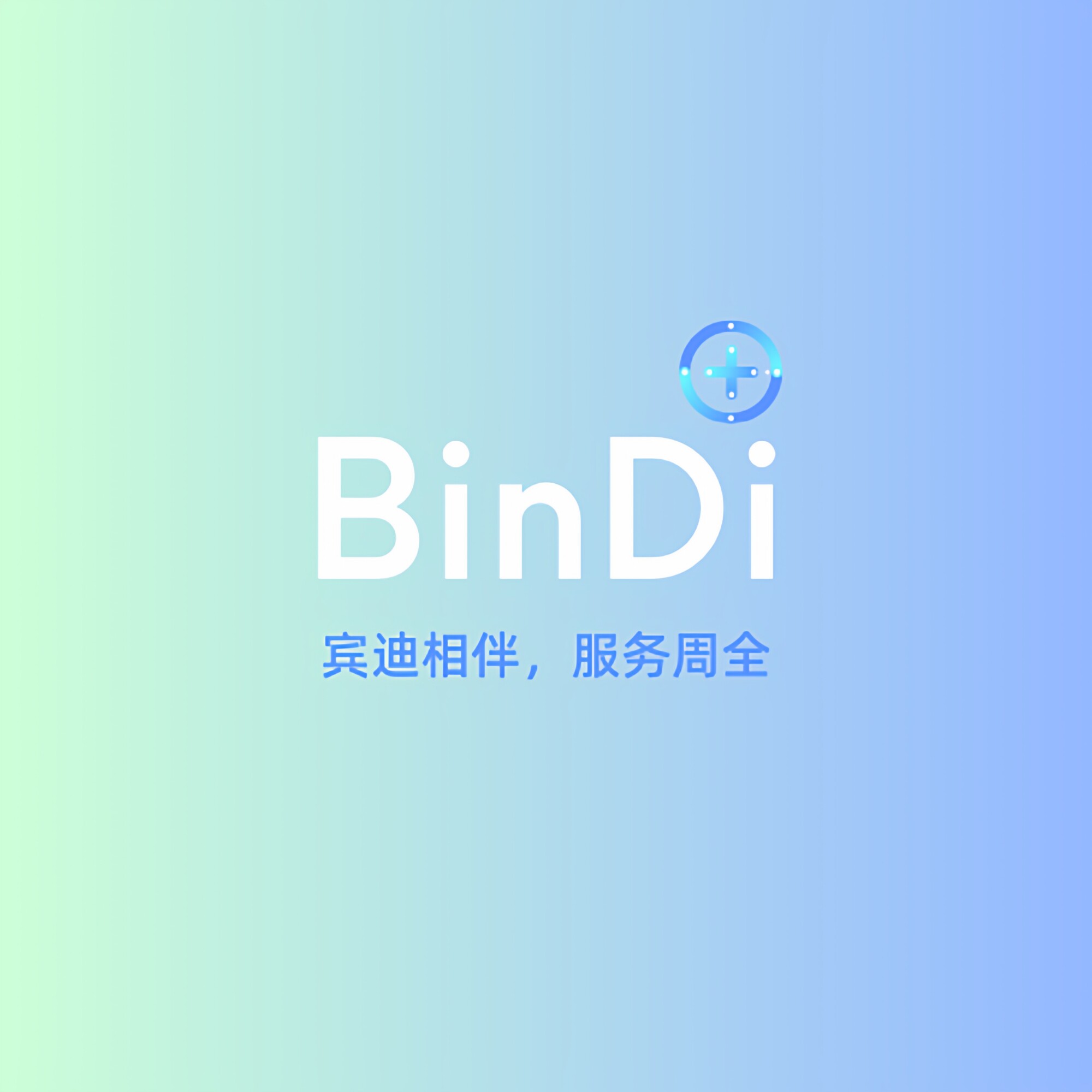 宾迪密封件